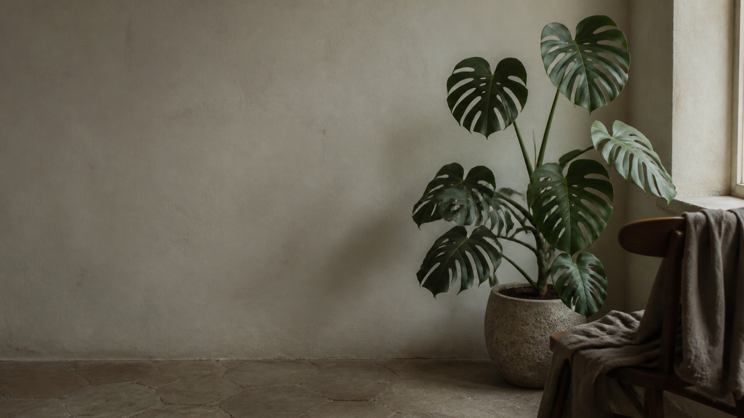 NOLNE room with plants and cloth in natural light