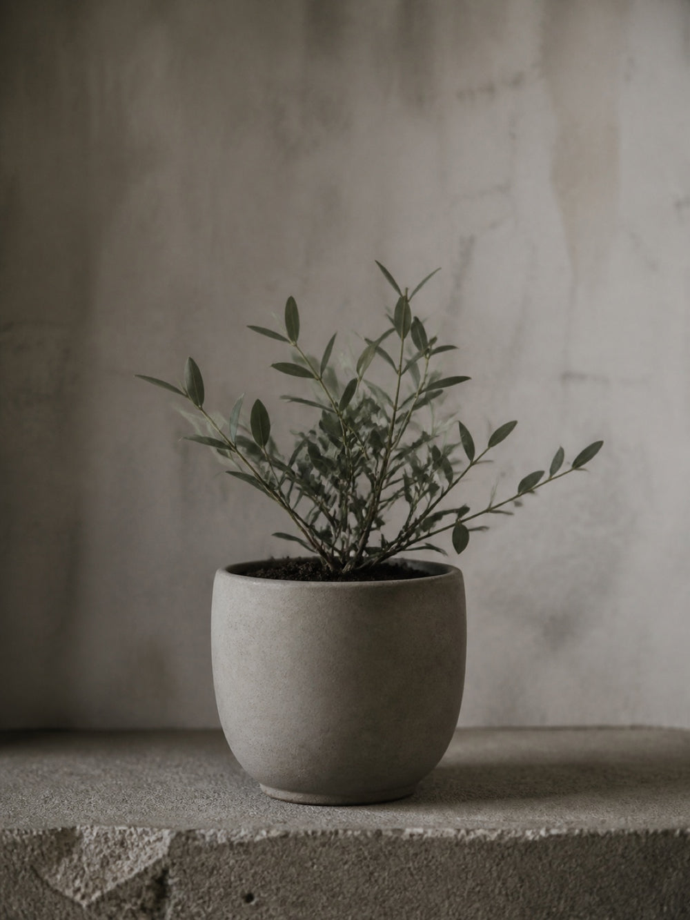 Planters